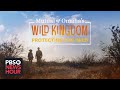 Wild Kingdom returns to TV to inspire the next generation of wildlife enthusiasts