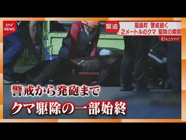 【駆除の瞬間】横たわる体長２mのクマ　カメラが捉えた一部始終　住民は安堵と不安　警戒態勢続く福島町