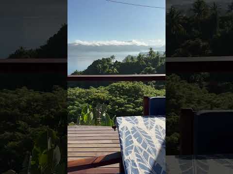 Video realizado por la propiedad