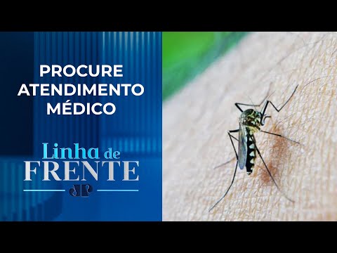 Dengue: Não tome corticóides e anti-inflamatórios | LINHA DE FRENTE