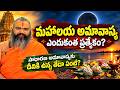 మహాలయ అమావాస్య ఎందుకంత ప్రత్యేకం? సాధారణ అమావాస్యకు దీనికి ఉన్న తేడా ఏంటి? | Mahalaya Amavasya 2026