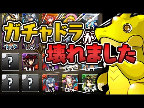 【超神引き】うちの端末の幻画師フェスがおかしい 【パズドラ】