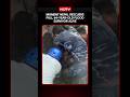 Moment Nepal Rescuers Pull 64-year-old Flood Survivor Alive | Nepal Flash Flood