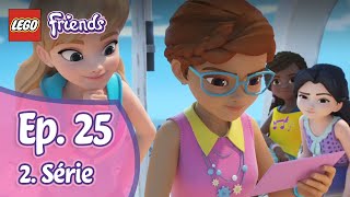 Lego Friends 2x25