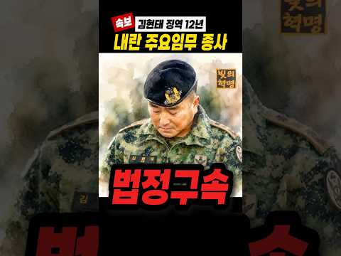 [속보]김현태 징역 12년 법정 구속, <strong>내란</strong> 주요임무 종사... 엄벌 필요