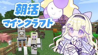 【朝活 / Minecraft】まったり雑談しながらマイクラ.ᐟ.ᐟ【#彗月るい / ステプロ0期生】