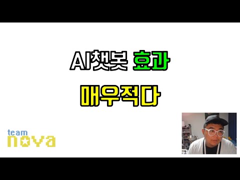 AI 챗봇 효과 매우적다.