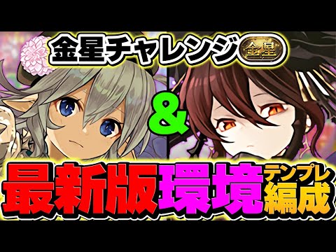 【15分】ロゼッタで金星チャレンジを全部位破壊攻略！最強リーダーで未だに現役です！代用&立ち回りも！【パズドラ】のサムネイル