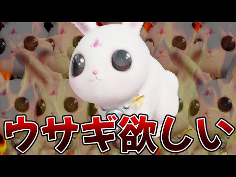 【荒野行動】ウサギ欲しいウサギ欲しいウサギ欲しいウサギ欲しいウサギ欲しいウサギ欲しいウサギ欲しいウサギ欲しいウサギ欲しいウサギ欲しいウサギ欲しいウサギ欲しいウサギ欲しいウサギ欲しいウサギ欲しいウサギ欲