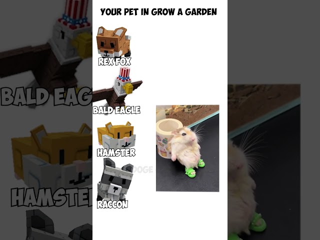 Your pet in Grow a Garden| Doge Gaming