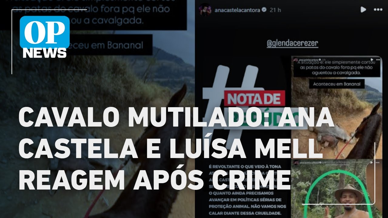 Cavalo mutilado em SP Ana Castela e Luísa Mell reagem após crime l O POVO News