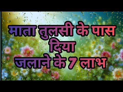 माता तुलसी के पास 🪔 दिया जलाने के सात उपाय।दूर होगी दरिद्रता।।आएंगी लक्ष्मी।होंगे मालामाल।