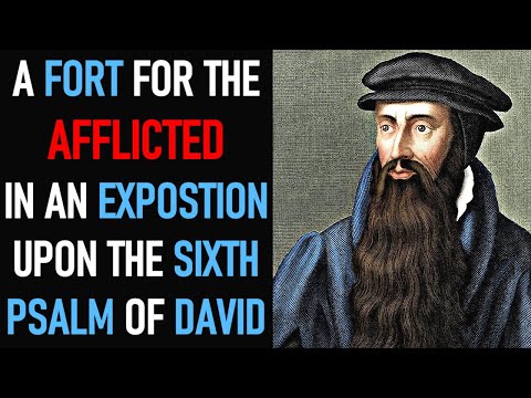 A FORT FOR THE AFFLICTED IN AN EXPOSTION UPON THE SIXTH PSALM OF DAVID - PURITAN JOHN KNOX