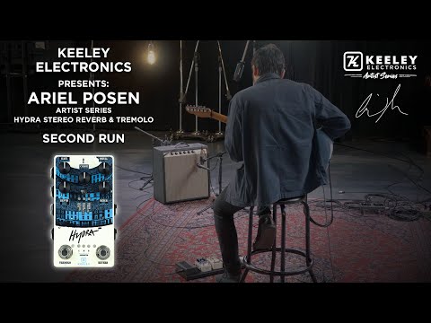 Keeley Electronics Presents: Artist Series Ariel Posen HYDRA Stereo Reverb & Tremolo - 2nd Run Demo