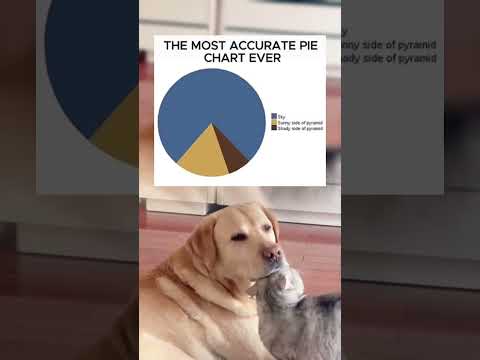 #memes #story #dog #shorts #pets