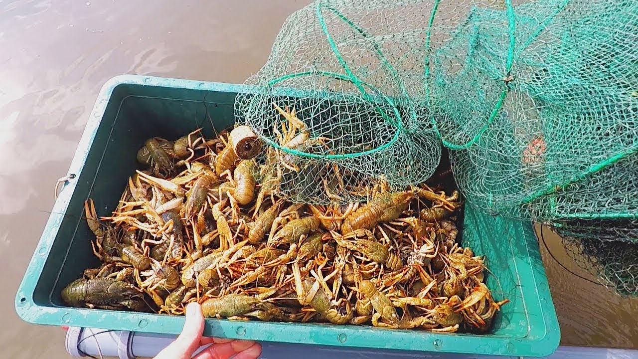 Приманка для ловле рака