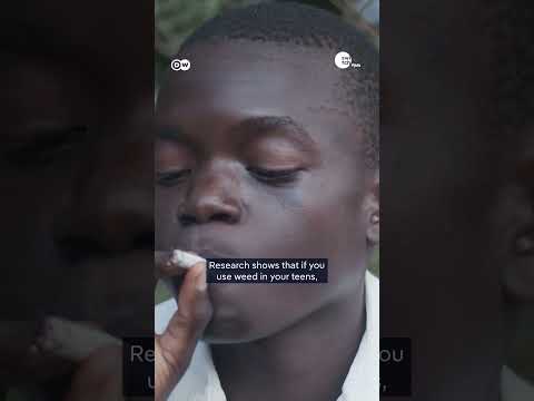 The Science Behind W33d: What Happens in Your Brain? | DW's Hooked