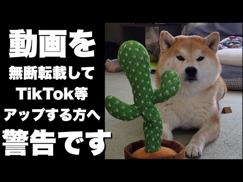 TikTok含めSNS無断転載で3,000万以上再生された動画を怒の再アップ