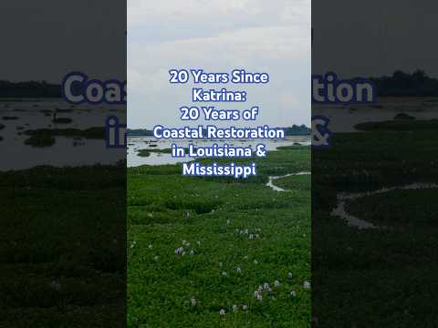 What happens when conservation centers community? #hurricanekatrina