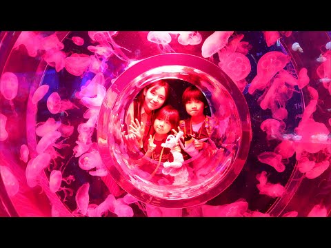 SEA LIFE バンコクに行ってきた🇹🇭