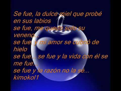 Se fue - Laura Pausini (Letra)