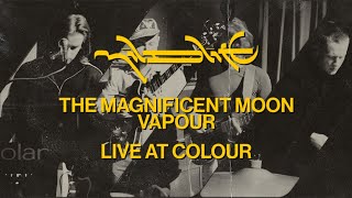 Mildlife Live at Colour - The Magnificent Moon/Jam/Vapour