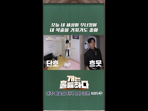 [쇼츠] 오늘 내 세상이 무너졌어... 내 목줄을 가져가도 좋아🦮 [개는 훌륭하다] | KBS 방송