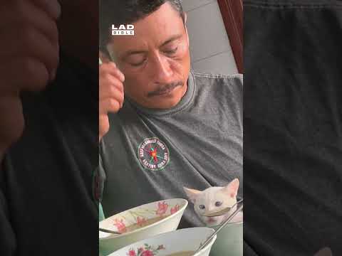 My dad with the pet he didn't want... 🤣 (🎥: ViralHog)