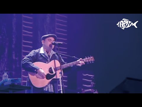 BEGIN /恋しくて(ビギン21世紀生 同窓会記念 BEGINのあやぱに音楽祭 at日本武道館)