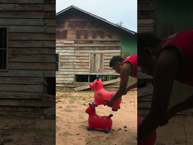 🥀🥀🥀Cutest Goats Color 🐐🐐🐐 #shortfeed