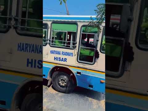 हरियाणा का सड़क वाला जहाज़ #haryanaroadways #automobile #trending #shorts