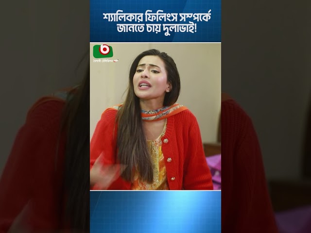 শ্যালিকার ফিলিংস সম্পর্কে জানতে চায় দুলাভাই! #sobujgrampathorershohor #banglanatok #dramaclip