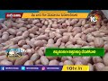 వేరుశ‌గ‌న పంట‌లో చీడ‌పీడ‌ల నియంత్రణ | Pest control of groundnut crop | Matti Manishi | 10TV  - 09:54 min - News - Video