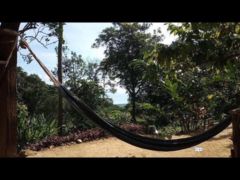 Finca Con Cabaña Rural $31,000 y Con Árboles Frutales En Venta