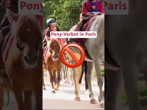 Pony-Verbot in Paris