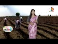 Farmers Preparing for Cultivation | Rains | తొలకరి కురిసె .. రైతన్న మురిసె | Matti Manishi | 10TV  - 02:07 min - News - Video