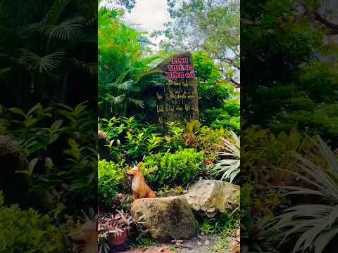 Cuộc tình anh dành cho em#shortvideo