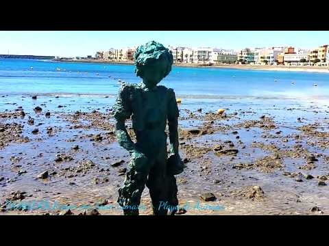 Video realizado por la propiedad