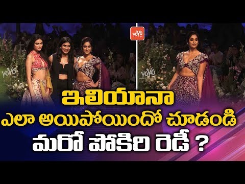 Ileana D Cruz Belly Dance Video Viral Ap7am