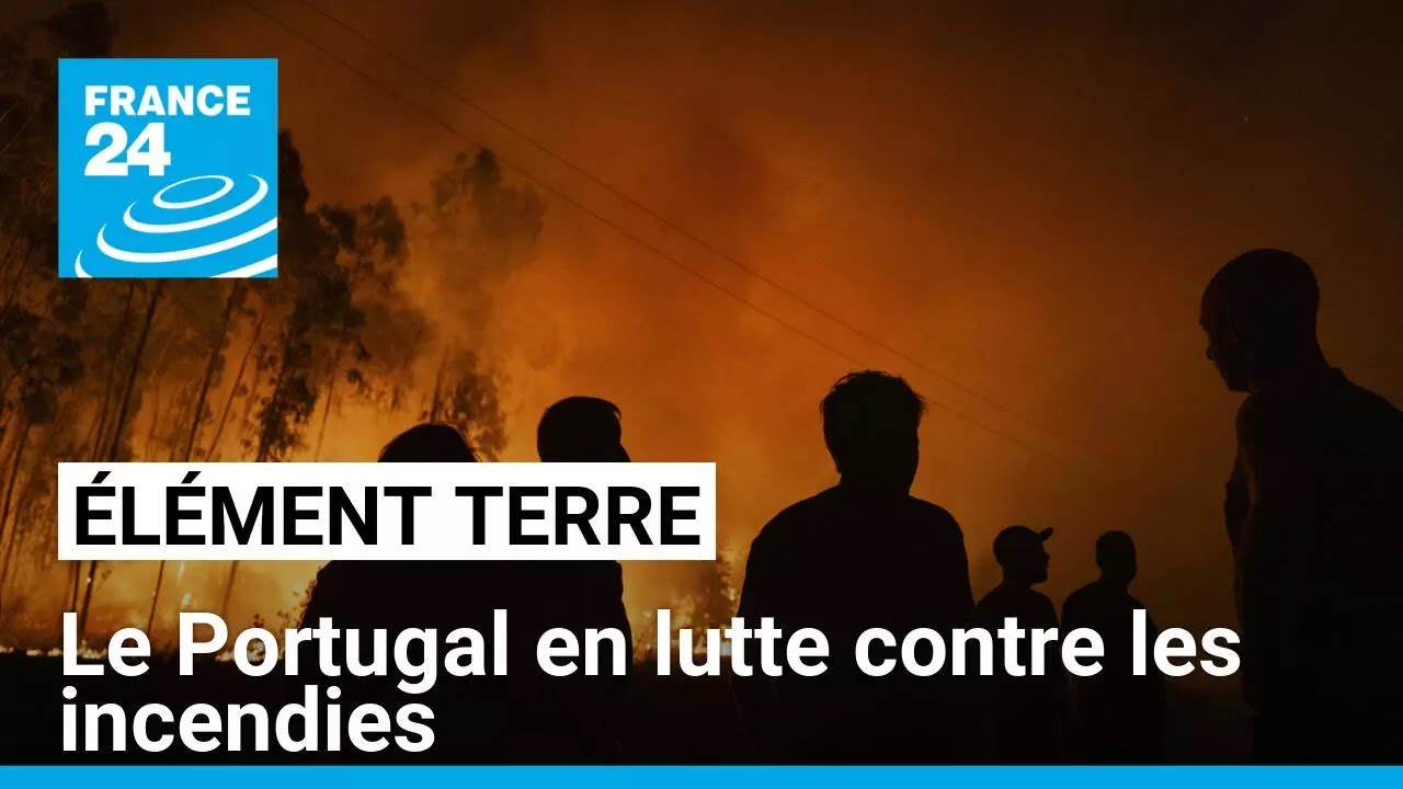 Le Portugal en lutte contre les feux attisés par le réchauffement climatique • FRANCE 24