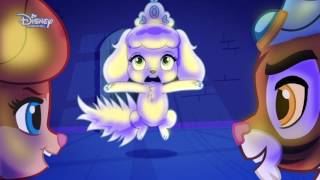 Pelkov - Non rytier zo zmku