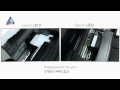 Epson L800 vs. L810 - сравнительный обзор принтеров