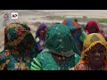 Hindu pilgrims in Pakistan attend rituals at annual festival  - 01:21 min - News - Video