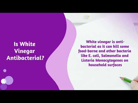 Is White Vinegar Antibacterial? How It Kills Germs?