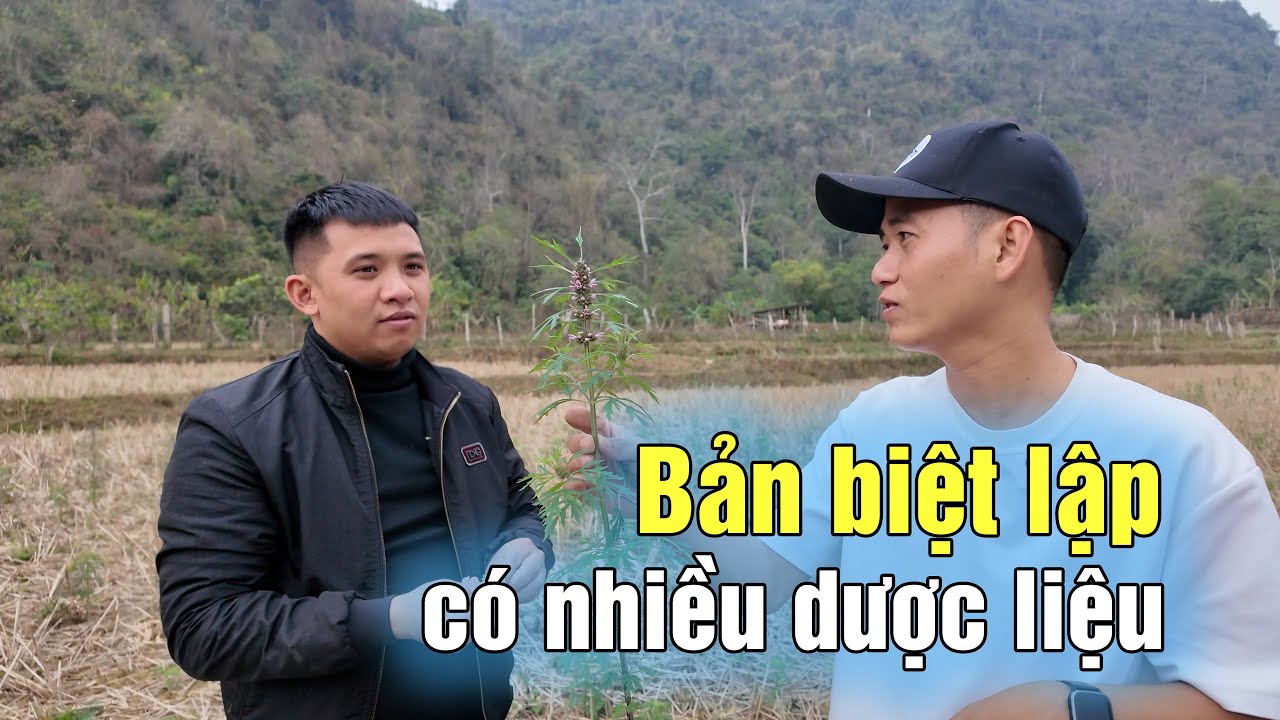 Cả bản ẩn trong rừng sâu Lạng Sơn có nhiều cây thuốc quý - Bản Lân Coóc