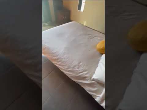 Vídeo hecho por el alojamiento
