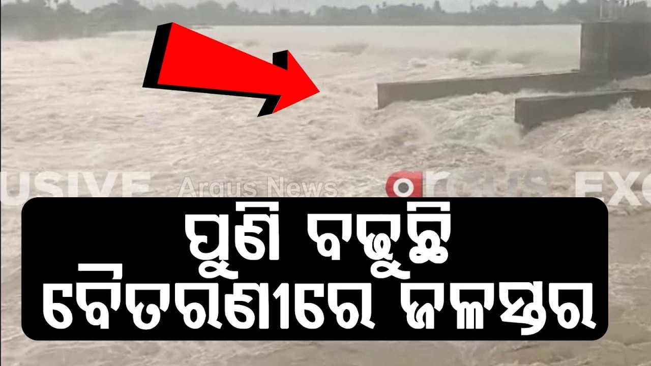 Baitarani River Embankment Breaches at Dasarathpur; 4th Flood Hits Jajpur Hard | Argus News