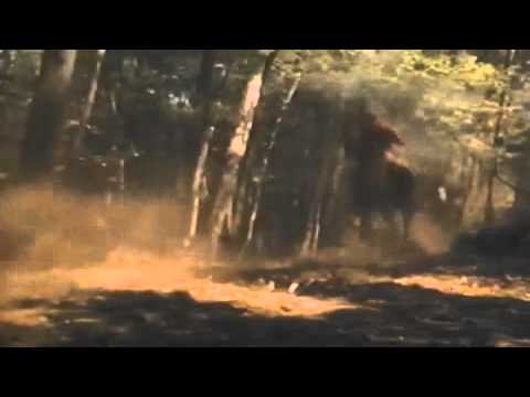 Tecumseh: The Last Warrior'