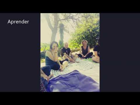 Video realizado por la propiedad