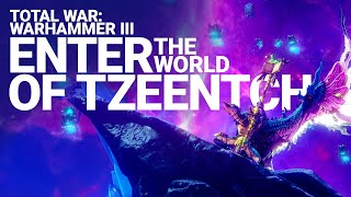 Enter the World of Tzeentch preview image